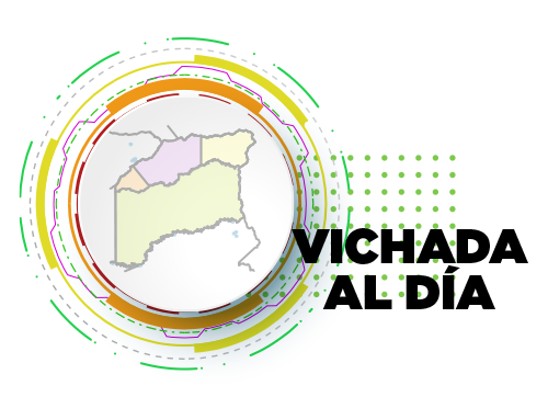 Vichada al Día (Noticias)