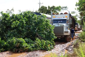 Cumaribo con Carreteras en mal estado 