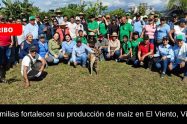 200 familias fortalecen su producción de maíz en El Viento, Vichada