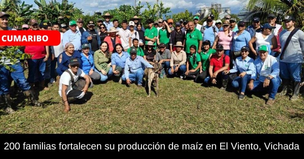 200 familias fortalecen su producción de maíz en El Viento, Vichada