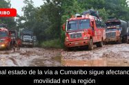 Cumaribo sufre por el mal estado de su carretera