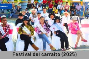 Festival de música llanera y tradiciones