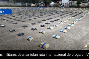 813 kilos de marihuana en Vichada